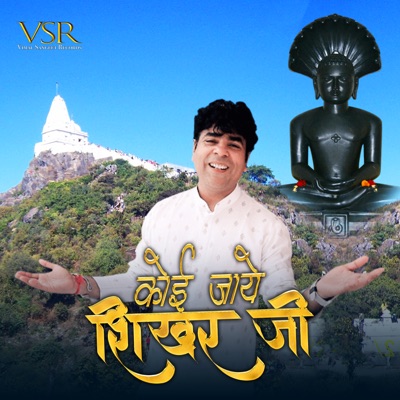 Koi Jaye Shikhari Ji (feat. M Shail Jain) - Single