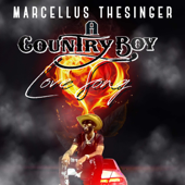 A CountryBoy Love Song song art