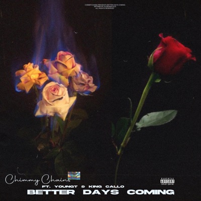 Better Days Coming (feat. YoungT & King Callo) - Single