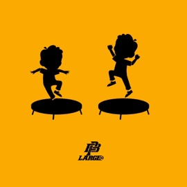 Contrary (Instrumental) PB Large