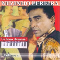 Tá Bom Demais: Vol. 3 - Nezinho Pereira