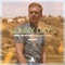 Sunny Days (feat. Josh Cumbee) - Armin van Buuren lyrics