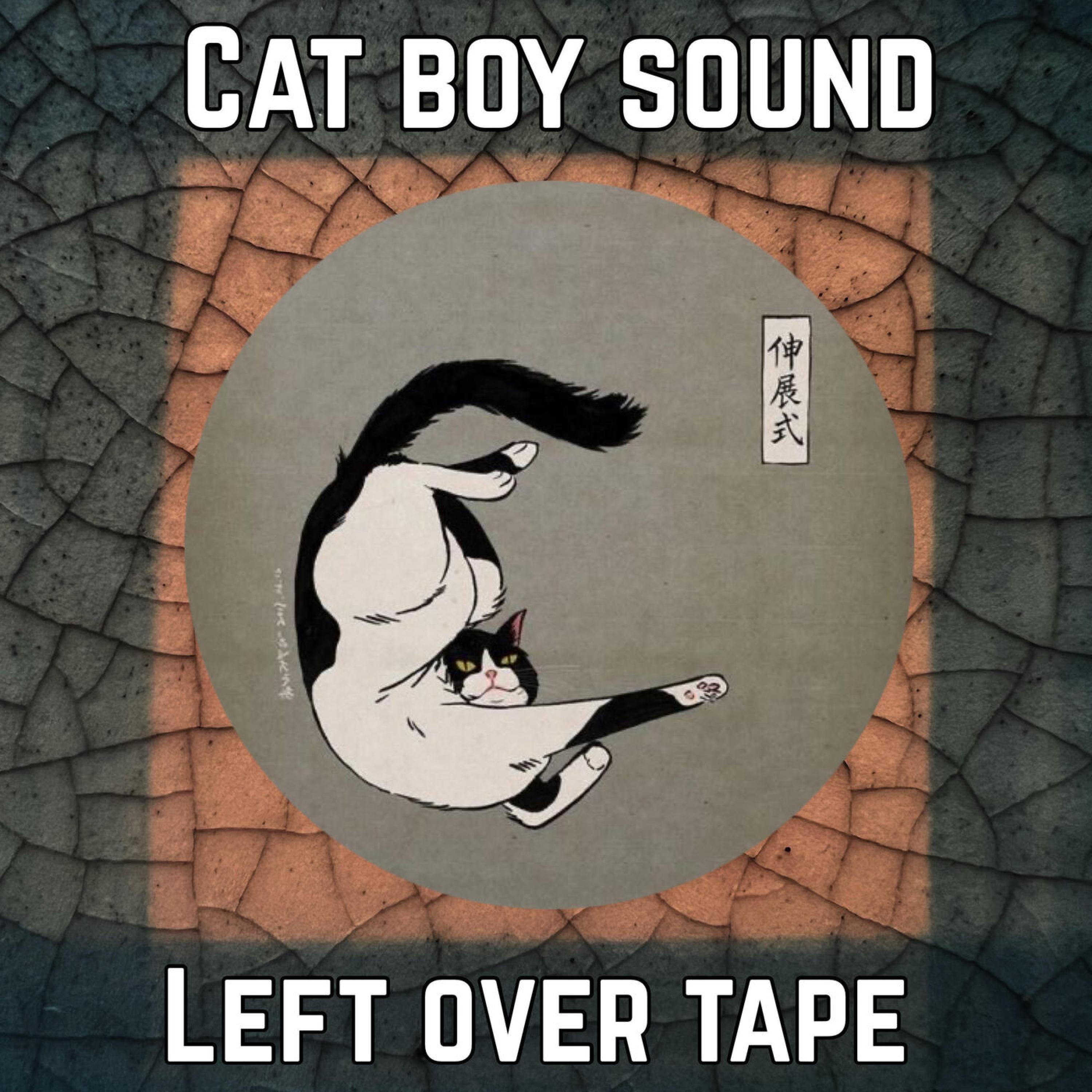 Cat Boy Sound - Greensboro