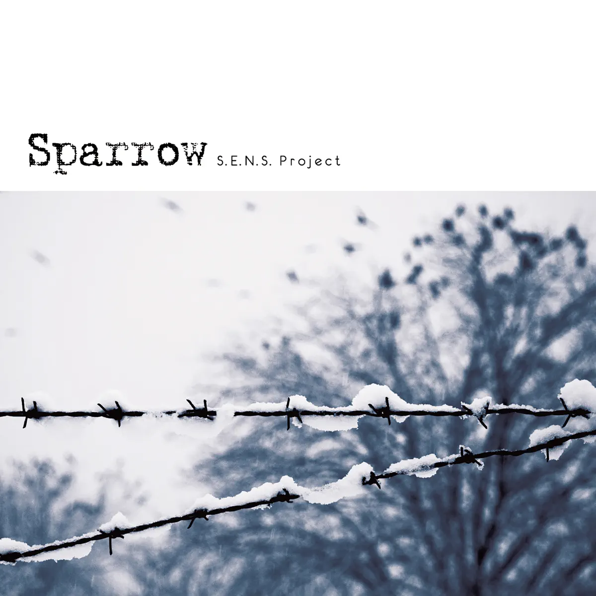 S.E.N.S. Project - 《麻雀》电视剧原声带 Chinese Drama "Sparrow" Original Soundtrack (2022) [iTunes Plus AAC M4A]-新房子