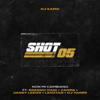 Non Mi Cambiano (feat. Brenno Itani, Zampa, Jangy Leeon, Lexotan & DJ Yaner) - Single - DJ Kamo