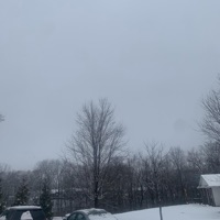 My Dear - Single - AkiraDoves