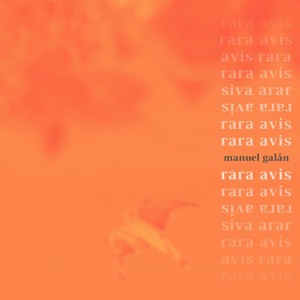 Rara Avis