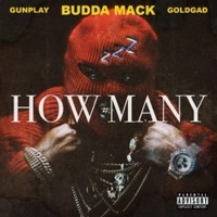 HOW MANY (feat. Gunplay & Goldgad) - Single - Budda Mack