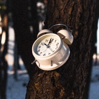 Lovey along (feat. Jae Woo AN) - Single - LimJaeYoung