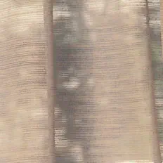 大阪フィルハ―モニー交響楽団: песни, клипы, биография, даты выступлений и многое другое.