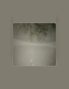 Écoutez Tree Branch, regardez des vidéoclips, lisez la biographie, consultez les dates de tournée et plus encore !