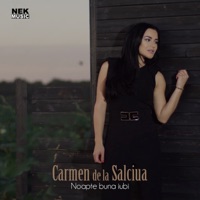 Noapte Buna Iubi - Single - Carmen de la Salciua