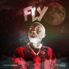 Fly - Single