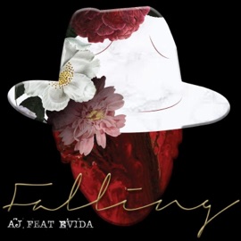 Falling (feat. Evida) Armand Joubert