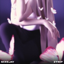 ผมหลงรักสาวTikTok MIXSJAY & Z TRIP