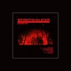 Spiritwalker