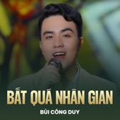 Bất Quá Nhân Gian (Lofi) artwork