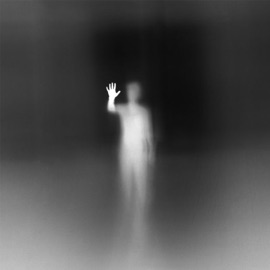 ปลาตัวนึง Lil Dragon