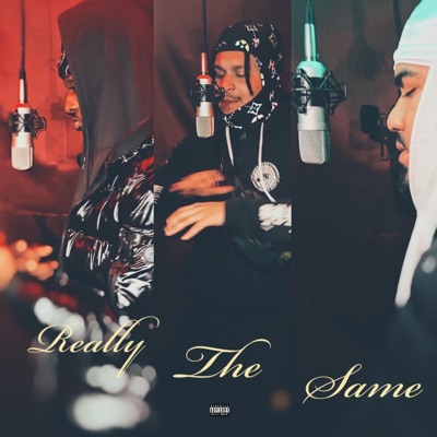 Really the Same (feat. Prod.By GOGO) - Single