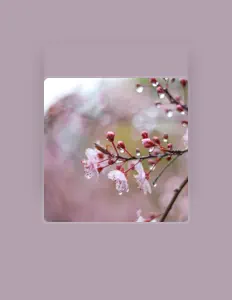 Posłuchaj wykonawcy Andrei Dunca, obejrzyj teledyski, przeczytaj biografię, zobacz daty tras koncertowych i nie tylko!