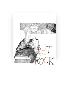 Pet Rock सुनें, म्यूज़िक वीडियो देखें, बायो पढ़ें, दौरे की तारीखें और बहुत कुछ देखें!