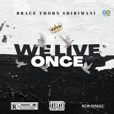 We Live Once (feat. Ntsako Shirimani) - Single