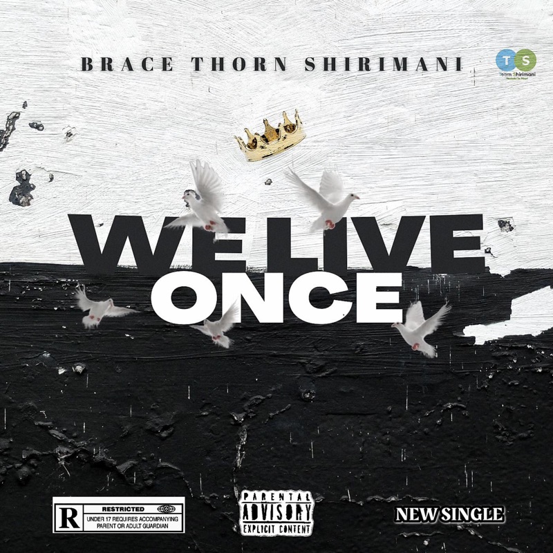 We Live Once (feat. Ntsako Shirimani) - Single