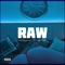 Raw (feat. KTP Kidd) - Wesley Green lyrics