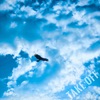 Take Off - Single