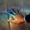 Sheep May Safely Graze (Arr. by Alexis Ffrench) - Alexis Ffrench lyrics