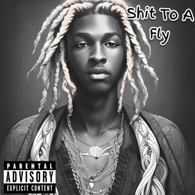 Shit To a Fly - Single