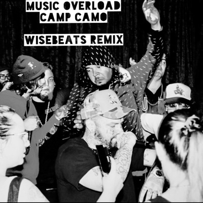 Music Overload (feat. R.SIN, Nef Scrilla, Lil Fluxx & the Rey) [Remix] - Single