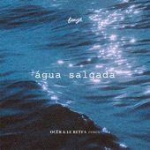 Água Salgada (OCËR e Le Retfa Remix) artwork