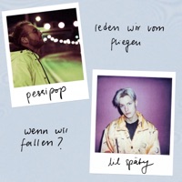 reden wir vom fliegen wenn wir fallen? - Single - lil späty & Pessipop