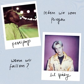 reden wir vom fliegen wenn wir fallen? lil späty & Pessipop
