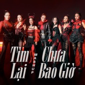 Mash Up: Tìm Lại & Chưa Bao Giờ artwork