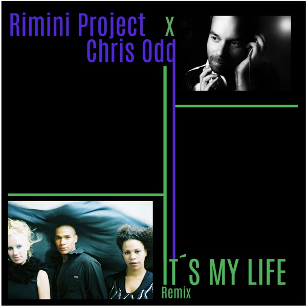 It's My Life (Remix) - Single