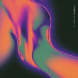 Carousel of Lies (feat. Cat Clark) Void Stryker