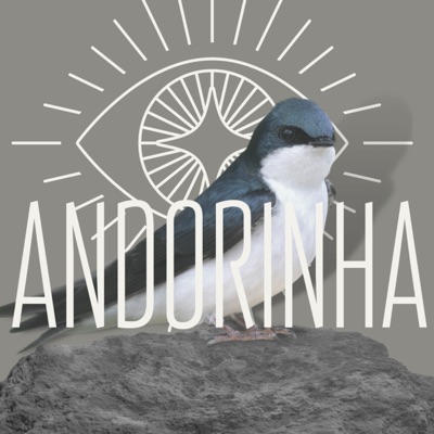 Andorinha - Single