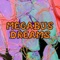 Megabus Dreams (feat. King Kashmere) - Alecs Delarge lyrics