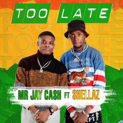 Too Late (feat. Shellaz) - Single