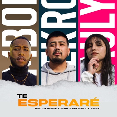 Te Esperare (feat. MBO la nueva forma & Pauly) - Single