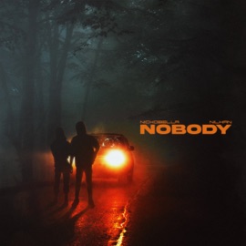 Nobody Nickobella & Nilhan