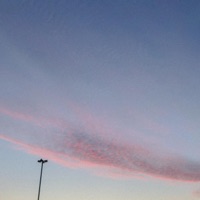 Firebird - Single - Sebastian Jautschus