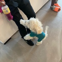 Billie Eilish - Single - angelus archive