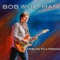 Come On... Let the Good Times Roll - Bob Wolfman lyrics