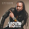 Daddy Mory ON LAISSE COULER LA VIBE (feat. Daddy Mory) VISION POSITIVE