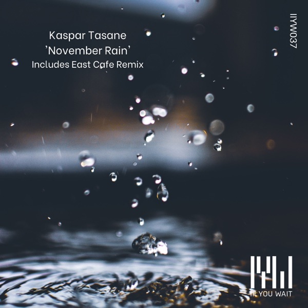 November Rain - Single