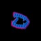 Gnash - Snoozi lyrics