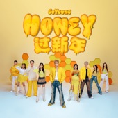 Honey 過新年(Happy Honey Year!) artwork